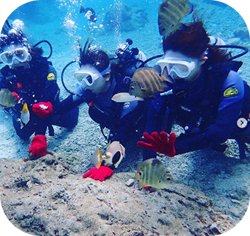 リフレッシュ休暇海外支援制度